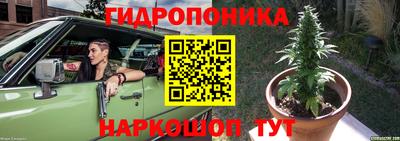 мяу мяу мука Ставрополь
