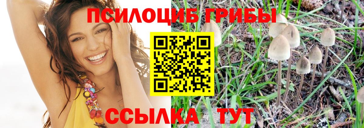 Псилоцибиновые грибы GOLDEN TEACHER  хочу наркоту  Галлюциногенные грибы Psilocybine cubensis  Ноябрьск  Вход с VPN 